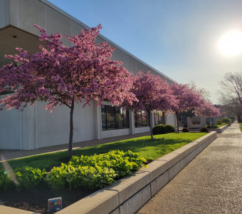redbud building